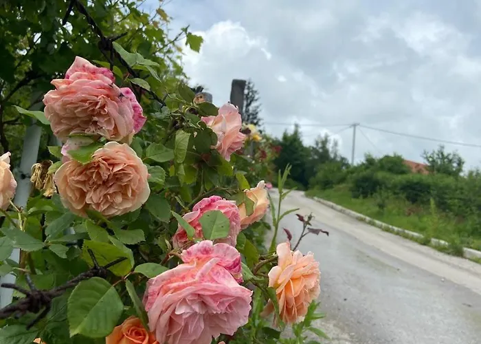 Villa Sara Szarajevó